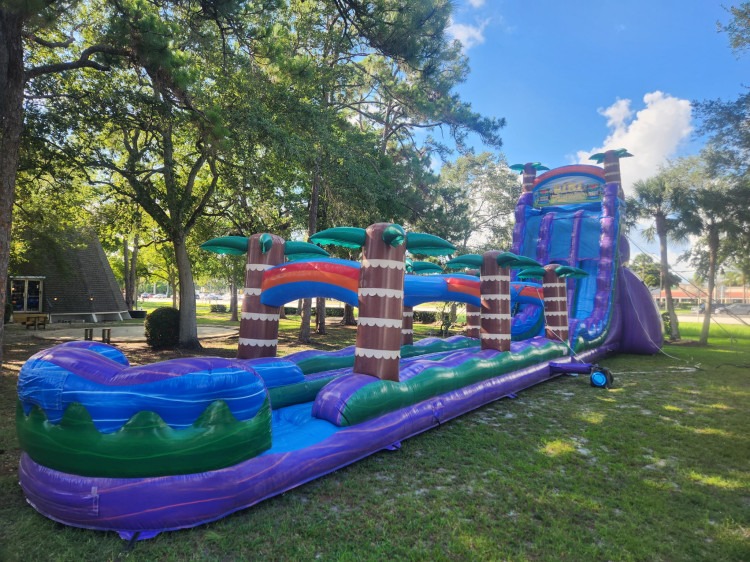 Tiki Plunge Water Slide 30ft DL